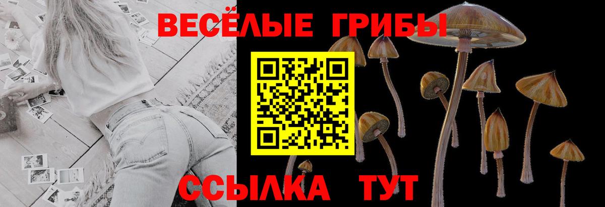 закладка  Галлюциногенные грибы мухоморы  Вход с VPN  Полевской 